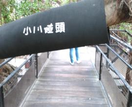 [旅遊] 台南一日遊-第三天 --- 安平樹屋  德記洋行  凌波舞 安平古堡 煮椪糖 上海華都小吃