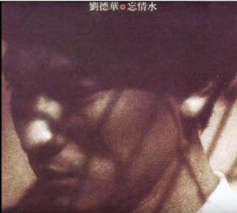 劉德華-想要飛