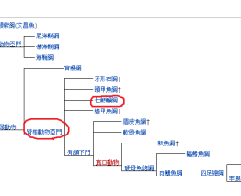 [科學][生物]為甚麼會有器官排斥呢?
