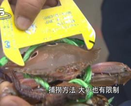 [轉貼][新聞]過度捕撈漁產浩劫？ 「限漁+復育」成共識 --- 把海洋還給大自然