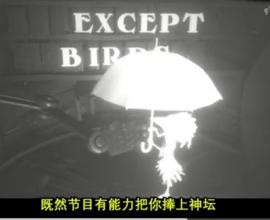White Shadows 的黑暗啟示：我們活在一個「人人平等，卻從未平等」的虛假黎明中？ - 皮雞沒有毛