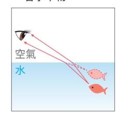 [影片推薦] 水面折射究竟應該怎麼理解? 看起來比較遠?比較近?