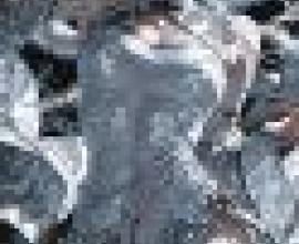 Silver Dragon，Woman dressed in silver with wings.
