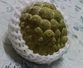 [翻翻舊照片] 我喜歡吃釋迦