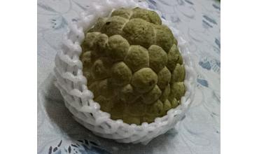 [翻翻舊照片] 我喜歡吃釋迦