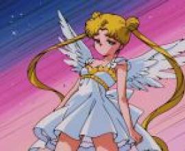 封面人物是月野兔（Sailor Moon Usagi Tsukino），一位動漫少女。