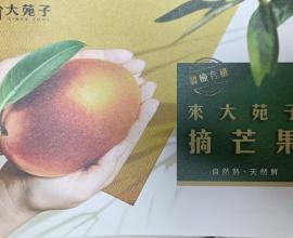 [菜單MENU] 大苑子 DaYung's - 老牌手搖飲料 價格 許慶良鮮乳 芭樂檸檬 