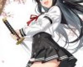 武士少女，一隻長著黑色長髮、手持武器的貓女。
