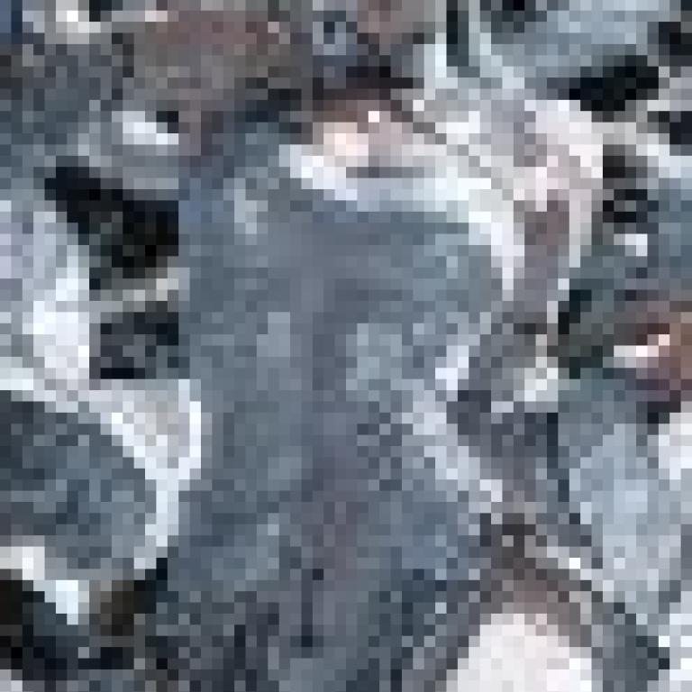 Silver Dragon，Woman dressed in silver with wings.