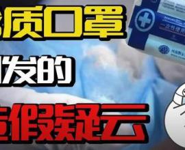 假口罩的假不一定在於仿冒，怕就連口罩算不上 - 新冠肺炎的混亂初期