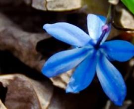 部落格開張囉!!