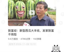 [迷因] 致富經 - 見證AI動畫的進步 B站 bilibili 家人們誰懂阿 西瓜臉