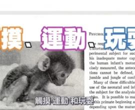 [恆河猴實驗] 人的現在是過去的綜合體，一點也無法忽略 - 腦洞烏托邦 因果 憂鬱症