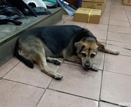 [生活分享] 那些漸漸遠去的記憶——從香蕉蛋捲、老刮鬍刀，到初戀的模糊臉