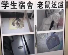 出血熱是什麼? 衛生才是防疫第一步~