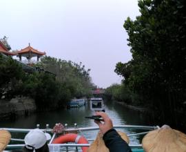 [旅遊] 台南一日遊-第二天 --- 愛客發 四草綠色隧道 大眾廟