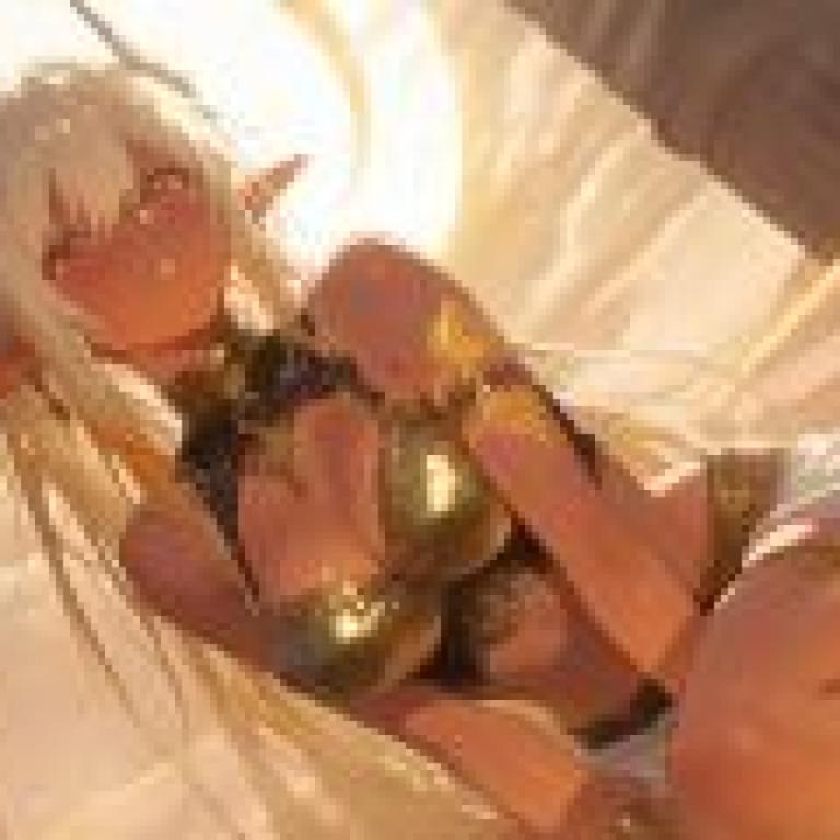 沙漠海市蜃樓，一位金髮動漫少女，頭生犄角，身穿金色首飾和棕色裙子。