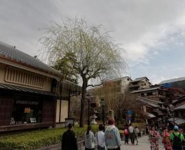 日本職場文化的背後，是團結