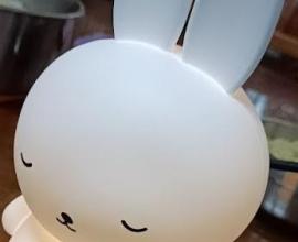 [生活分享] 那些年我們買給寶寶的玩具，其實都是大人在玩